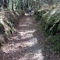 Beau chemin en creux, bien ombragé.